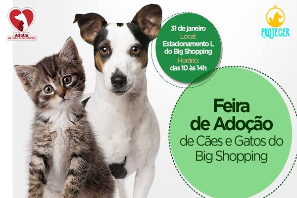 Fim de semana com Feira de Adoção e descontos no Big