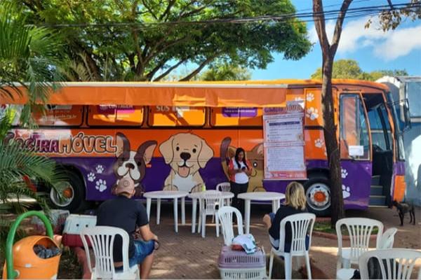 Castrações em cães e gatos acontecem na Regional Sede 
