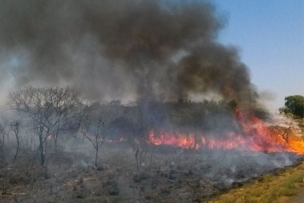 Incêndio de grandes proporções atinge Parque do Ibitipoca