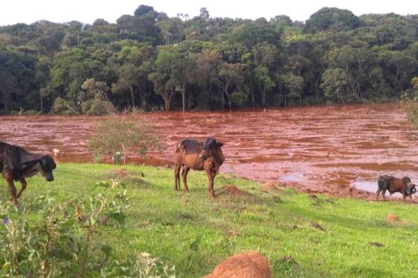 Justiça obriga Vale a transferir R$ 234 milhões para garantir auxílio aos atingidos de Brumadinho