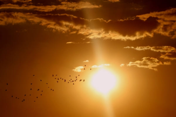 Calorão à vista: termômetros podem marcar 35°C em Contagem