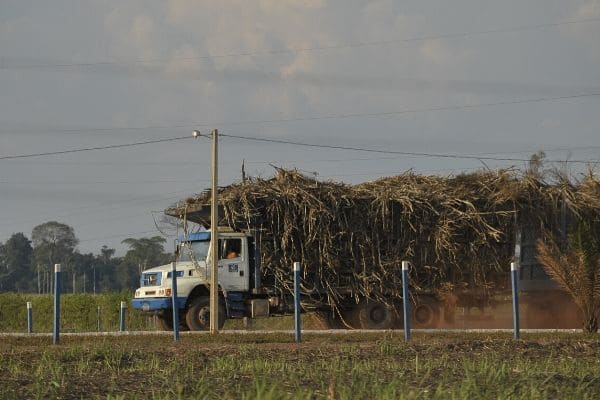 Bagaço de cana pode substituir petróleo na fabricação de plásticos
