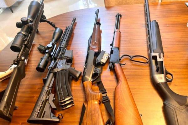 PF combate caça ilegal de búfalos em Goiás