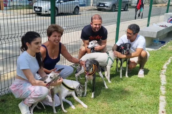 Cães da Raça Whippet se encontram no Parcão em Contagem