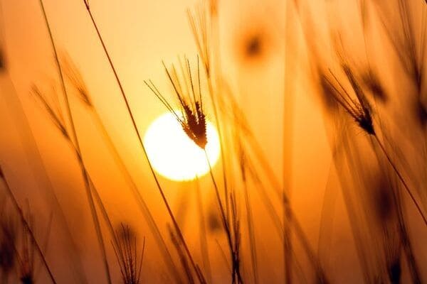 Outubro começa quente em Contagem
