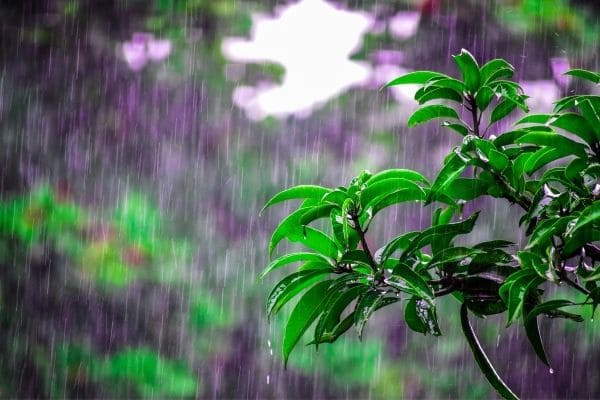 Previsão do tempo para o feriadão tem chuva e frio