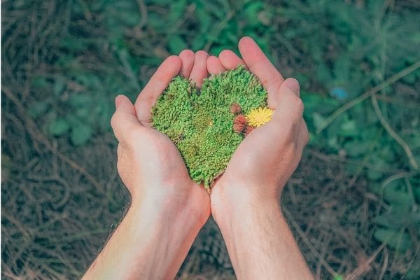 Semana do Meio Ambiente tem programação gratuita em Contagem