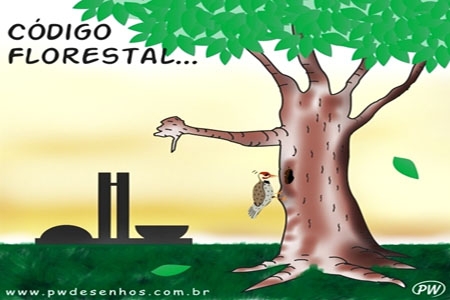 A esperança é verde