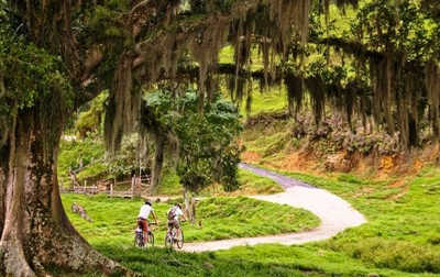 Cicloturismo se transforma em estilo de viajar no Brasil