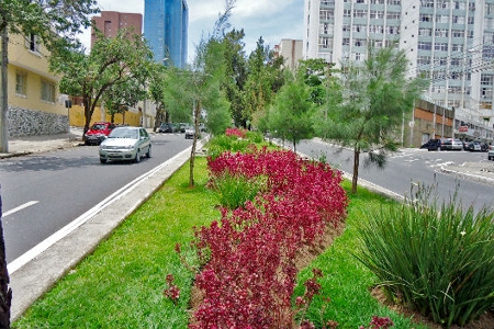 13ª edição do Concurso ‘Cidade Jardim’ 
