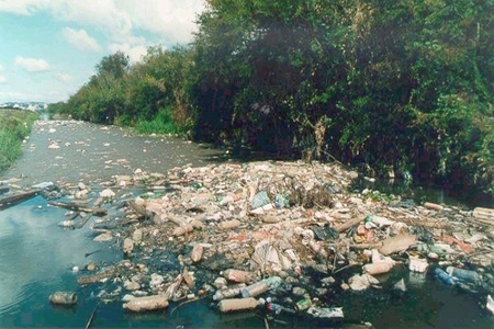 A poluição ambiental e você