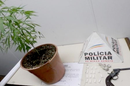 PM apreende arma, pé de maconha e drogas em Contagem