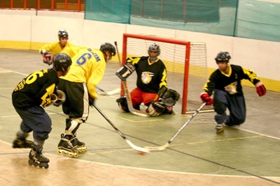 Vipers é novamente campeão mineiro de Hocky In Line.