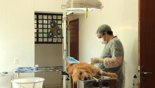Centro de Controle de Zoonoses de Contagem vive bom momento