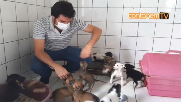 Adote um animal de estimação no CCZ Contagem